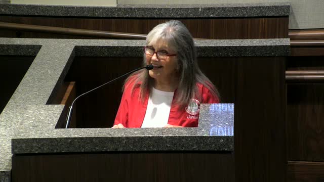 League City Council Faces Opposition to Self Storage Permit and Safety Concerns from Residents