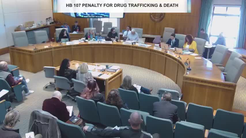 Committee tables proposal to classify fentanyl exposure as prima facie child abuse after debate