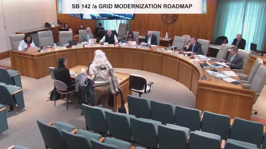 Committee advances grid modernization roadmap, adds schools and AI in scope