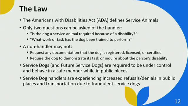 Service Dog Handler Advocates for Understanding and Etiquette in Public Spaces