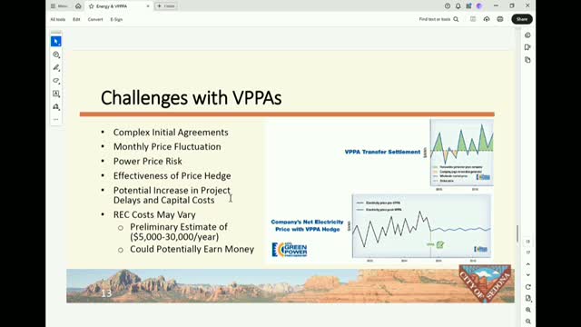 Council Discusses Rising Energy Project Costs and Market Variability Challenges