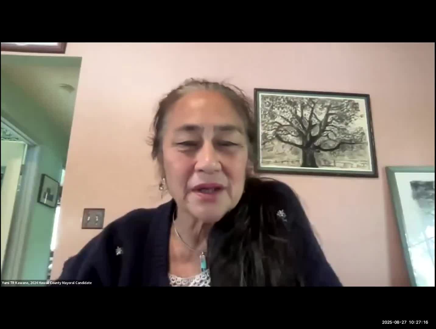 Hawaii County Mayor Calls For Federal Oversight On Election Discrepancies