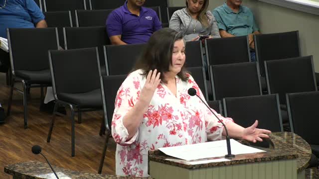Council Delays Master Plan until 2026 Amid Budget Concerns and Unreported Funds
