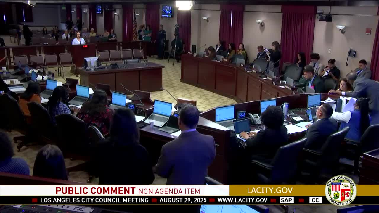 Community Voices Challenge Los Angeles Council Plans for Tiny Home Project in Panorama City