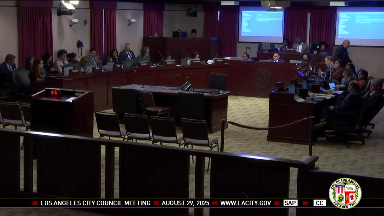 Council approves homelessness report and a coordination amendment after debate; Rodriguez dissents on report