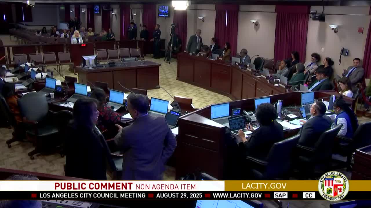 Los Angeles Community Voices Concerns Over Unsafe Project Funding and Meeting Accessibility