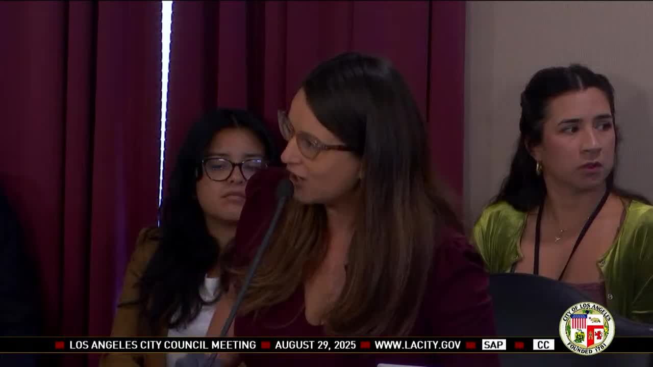 Los Angeles Council Discusses Homeless Crisis and Resource Coordination with County