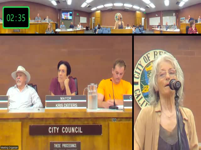 Council Meeting Discusses Alternatives to Emergency Calls