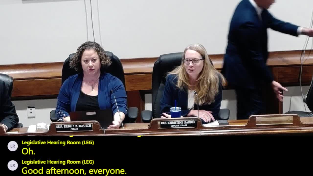 Chair Barber and Senator Rauch Lead Joint Committee Hearing on Environment Issues