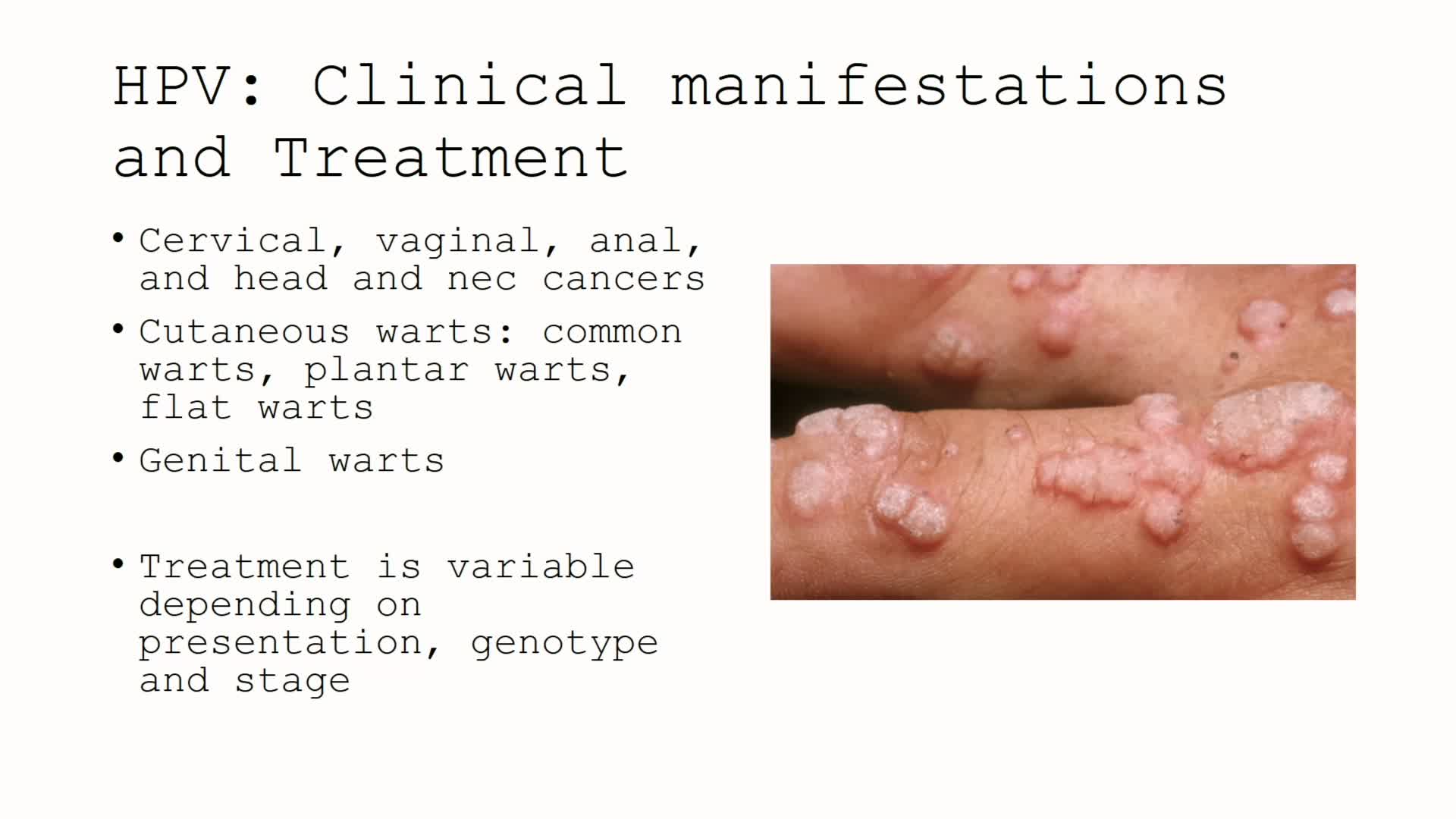 Doctor Clement discusses transmission and treatment of HPV and hepatitis B at health symposium