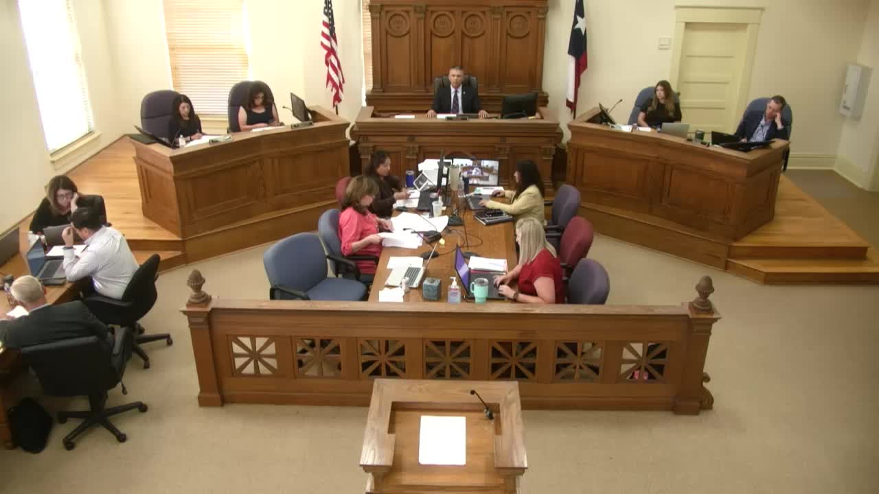 Hays County Residents Urge Commissioners to Reject Flock License Plate Surveillance Expansion