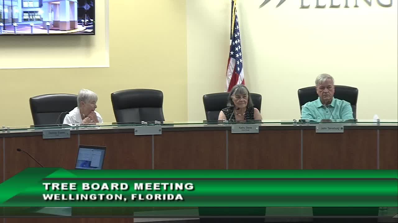 City Plans Palm Tree Line Along Big Blue for Enhanced Aesthetic and Shade