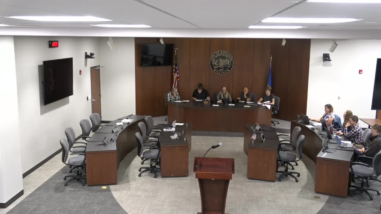 Appleton Northside Business Association seeks approval for holiday decor and banners