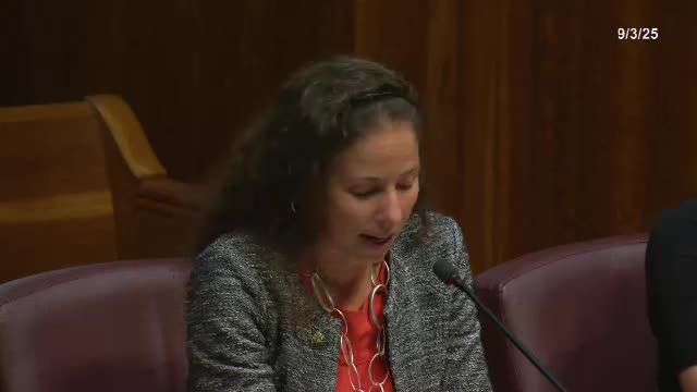 Commissioner Johnson questions HRA funding clarity and staffing needs for Neighborhood Star projects