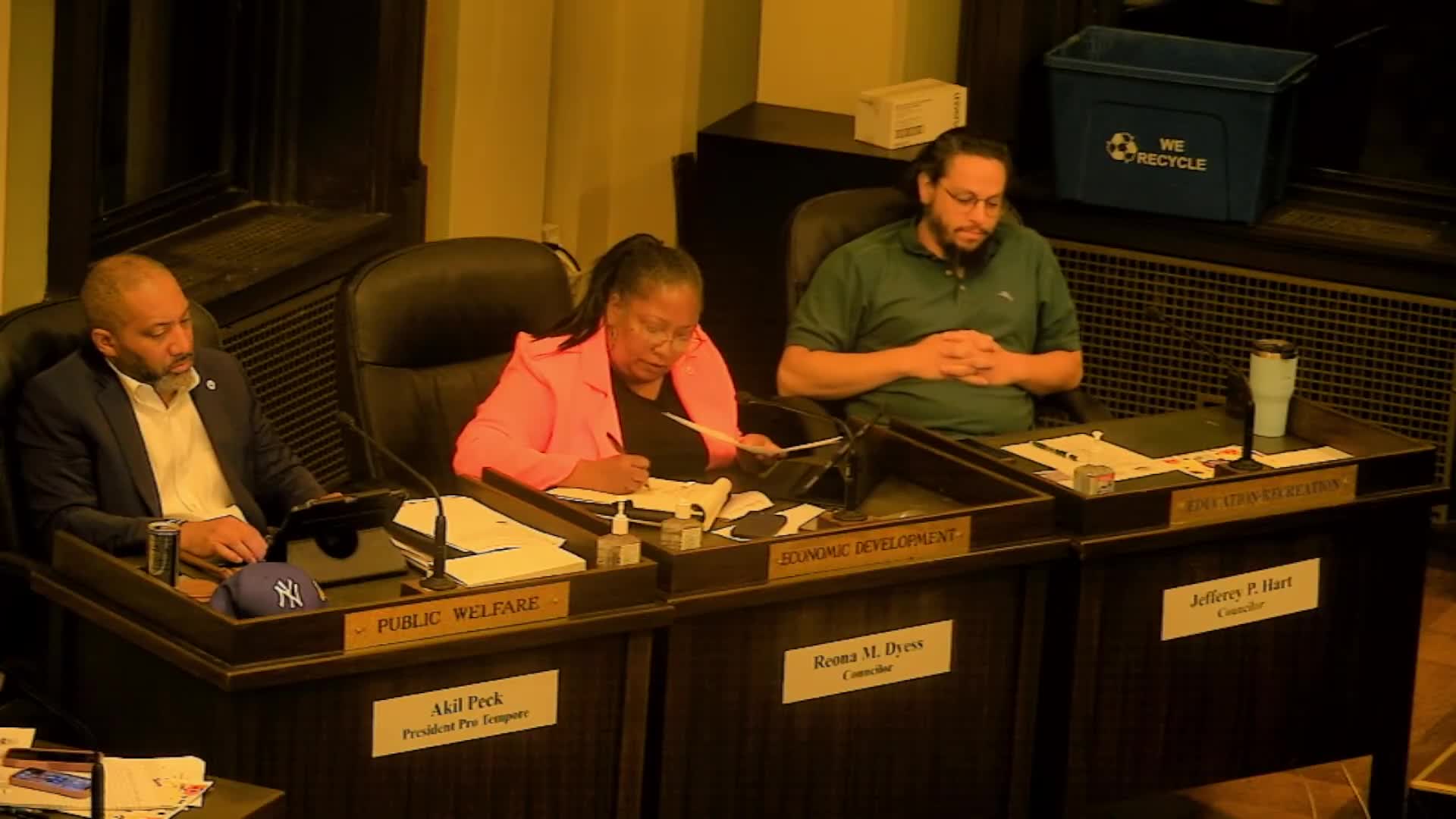 Public Welfare Committee Addresses Growing Homelessness Issues in London