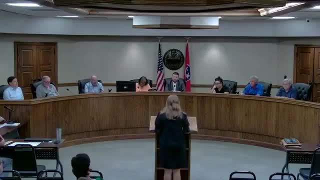 Planning commission approves Spring View Village master plan and Phase 1 preliminary plat