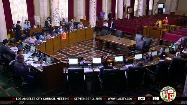 Public Speaker Critiques Los Angeles Council for Corruption and Nuisance Abatement Actions