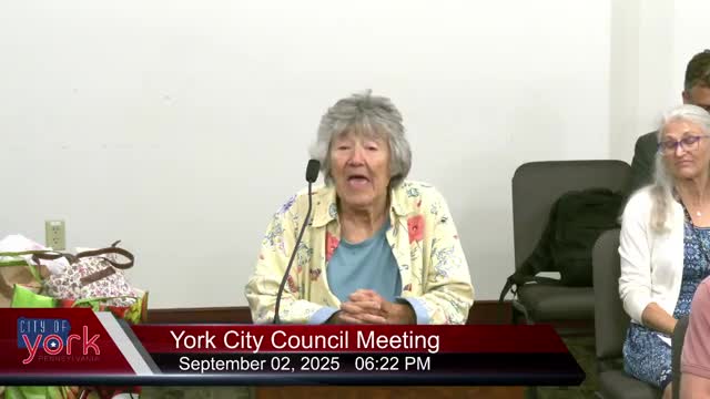 York City Council Receives Support for Youth Council from Local Leaders