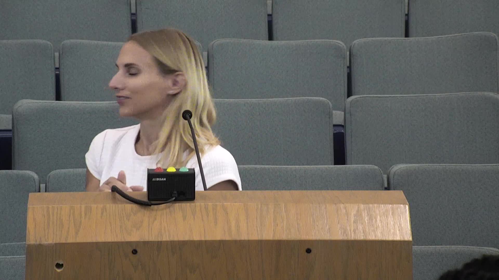 City Approves New Signage Plan While Discussing Traffic Access Points in Tamara