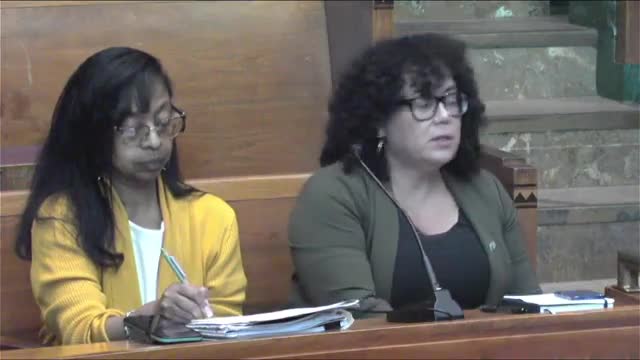 Buffalo City Council Discusses Waterfront Development and Marina Revitalization Plans