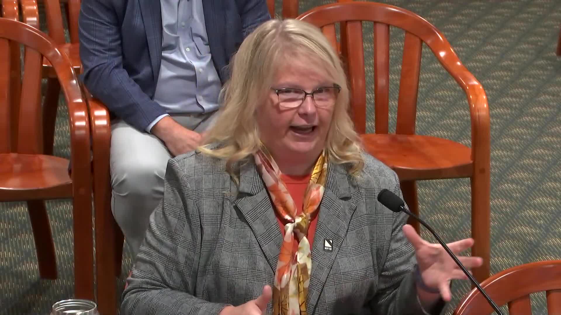 Legislator Calls for Streamlined State Spending and Energy Policy Adjustments