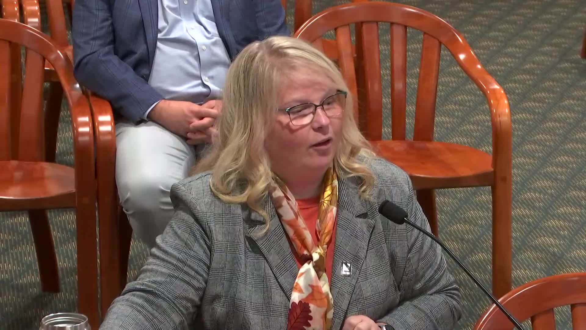 Small Business Advocate Discusses Incentive Fairness in Legislative Meeting