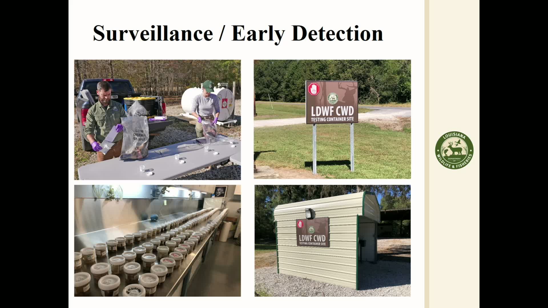 Louisiana Expands CWD Testing Access with 16 New Deer Drop-off Locations