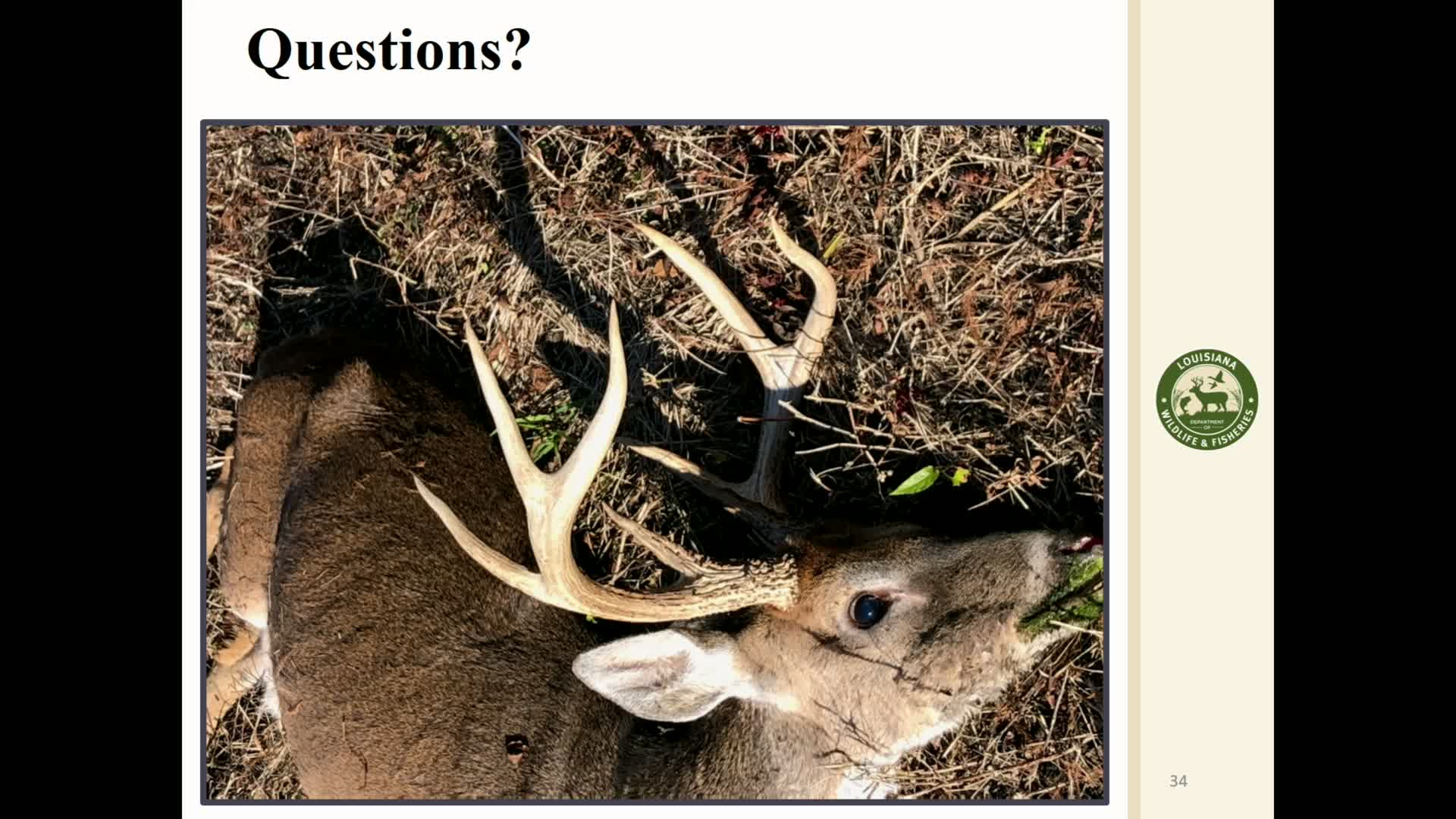 Wildlife Officials Clarify CWD Control Area Carcass Movement and Baiting Regulations