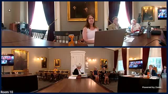 Family rules committee outlines procedure for extreme‑risk protection orders and the role of prosecutors