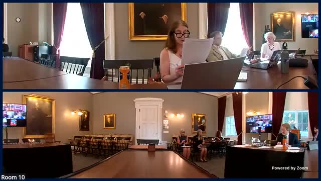 Committee hears housekeeping amendments to electronic filing rules, plans extension to lawyer-discipline cases