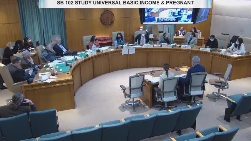 Senate Committee Approves Pilot Program Despite Strong Opposition from Senators