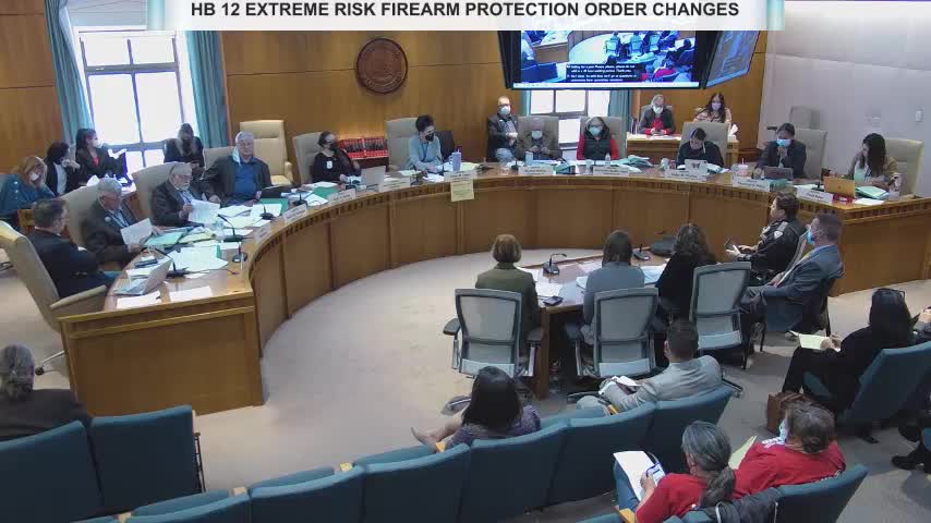 New Mexico Committee Discusses Firearm Possession Laws for Threatened Individuals