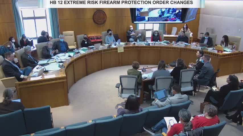 New Mexico Lawmakers Discuss Extreme Risk Firearm Protection Order Bill