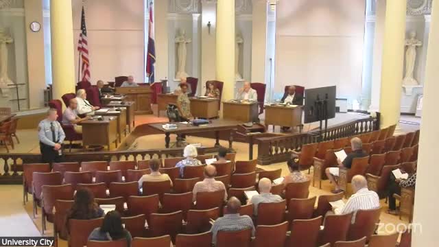 Residents tell council of multiple streetlight outages, missing pole covers and alley maintenance concerns