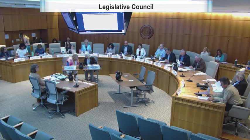 Legislative Council approves interim committee work plans, travel and expert budgets