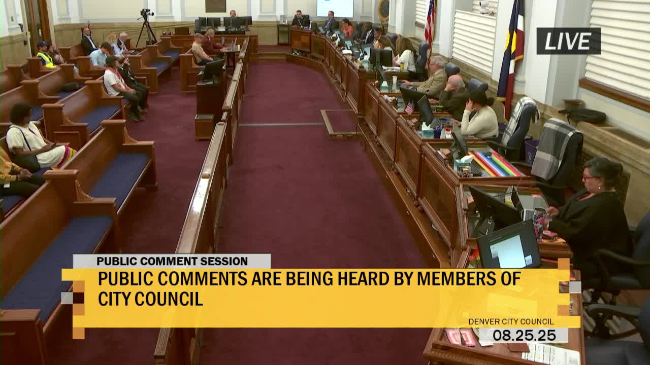 Organizer links Palantir protests to AI oversight asks, urges council to oppose AI deregulation