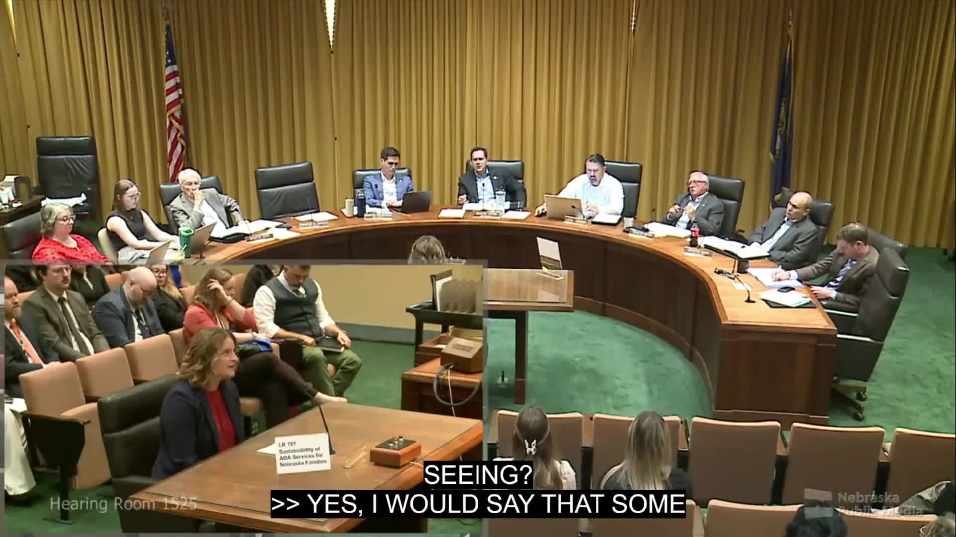 Senators Discuss Autism Diagnosis Trends and Impact on Services at Legislative Hearing