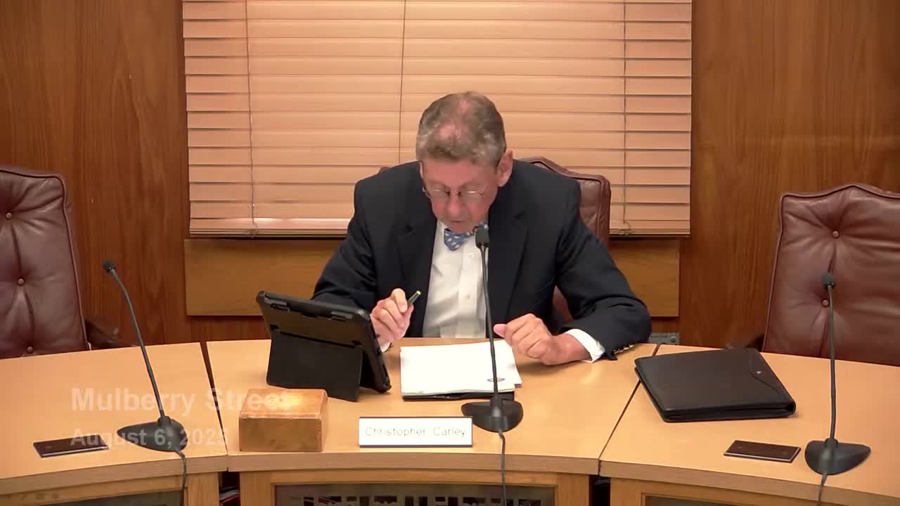 Board grants variances for unaddressed Mulberry Street lot allowing a single-family home