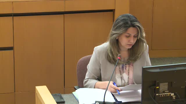 Staff supports vehicle‑wash use at shopping center despite separation concern; design intended to reduce noise