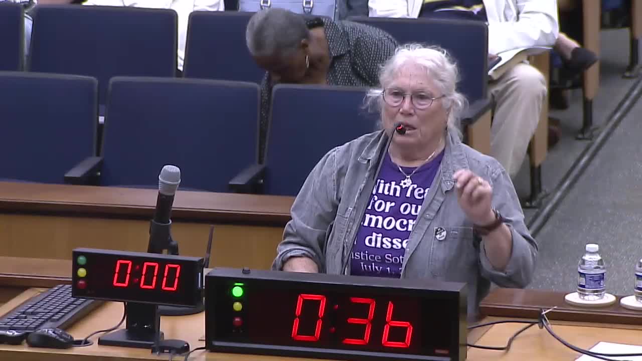 Residents Protest Corporate Housing Development in Richmond City Council Meeting