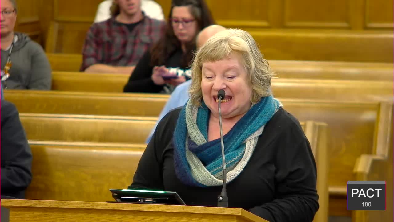 Community Leaders Urge Duluth City Council to Establish Transportation Commission