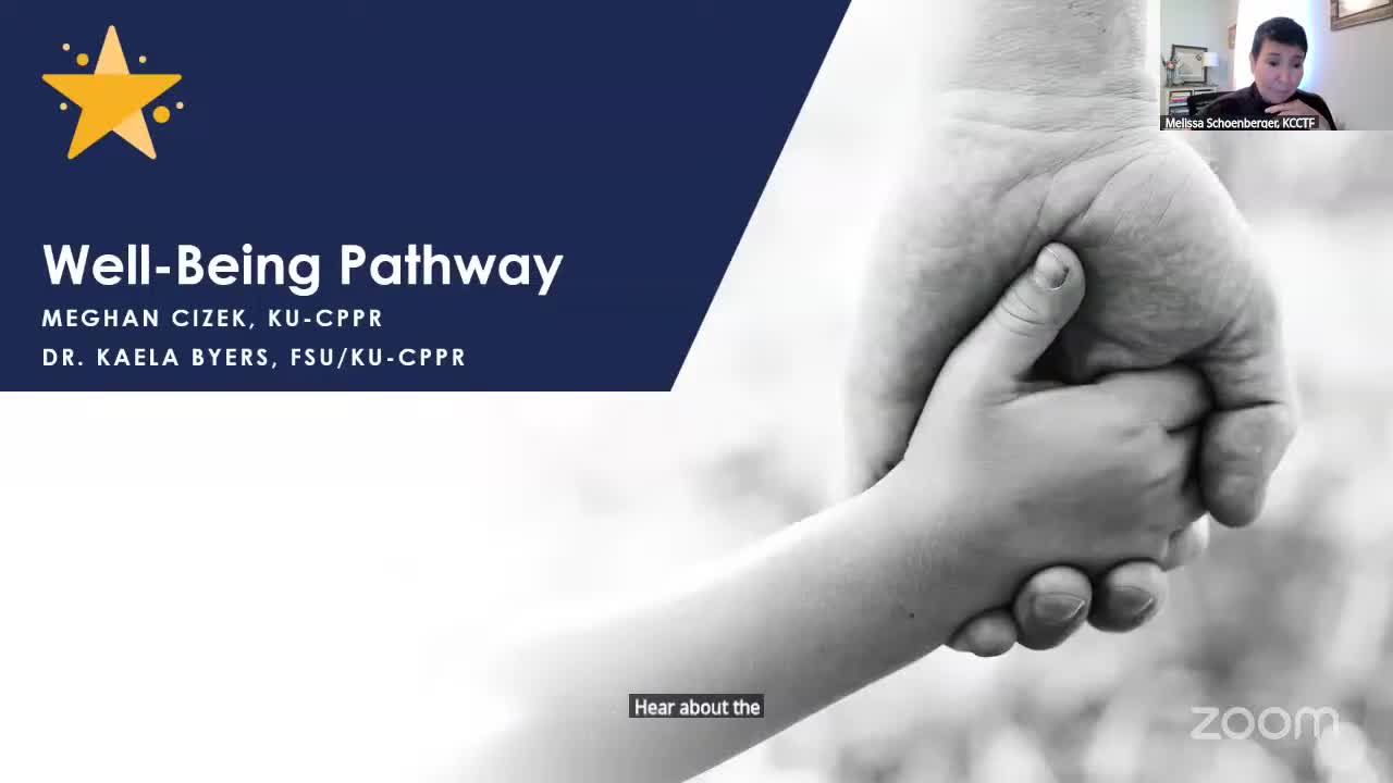 Panel preview: new county‑level ‘well‑being pathway’ tool to highlight local strengths and bright spots