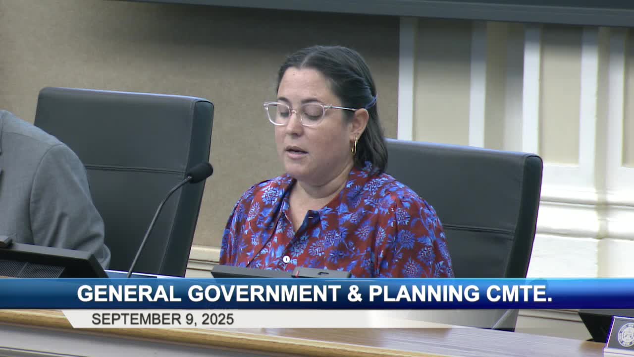 Vice Mayor Wu leads comprehensive plan discussion on community preservation initiatives