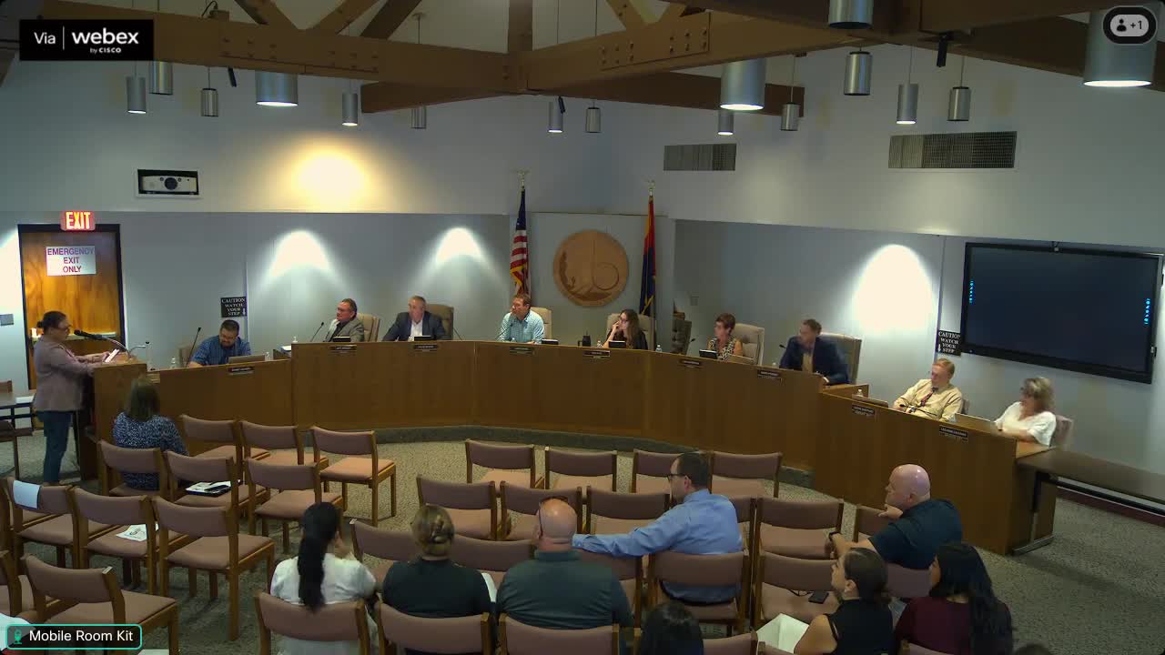Parent Advocates for Special Needs Students at School Board Meeting