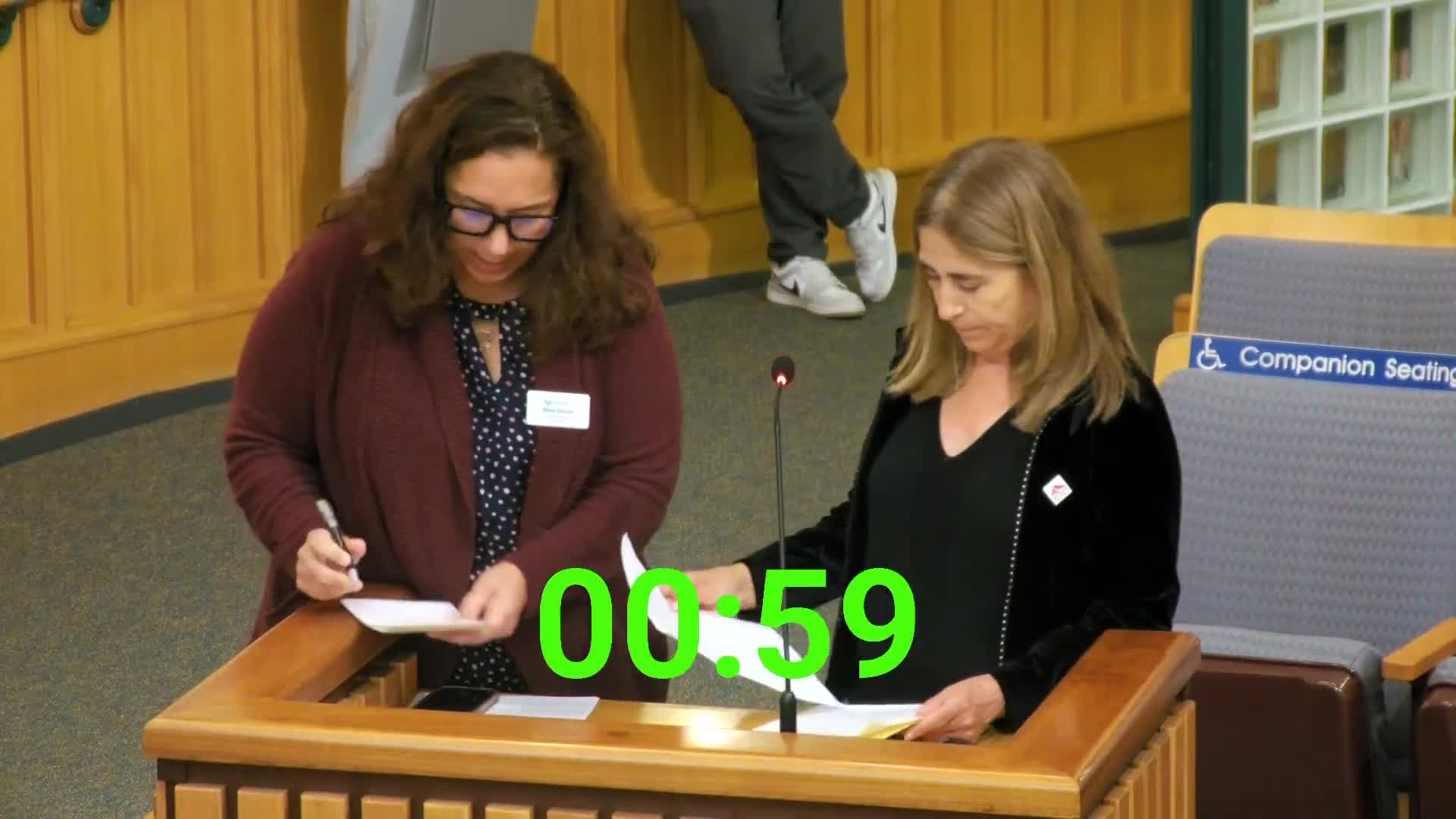 Mountain View Council urged to include grants in community ownership housing program