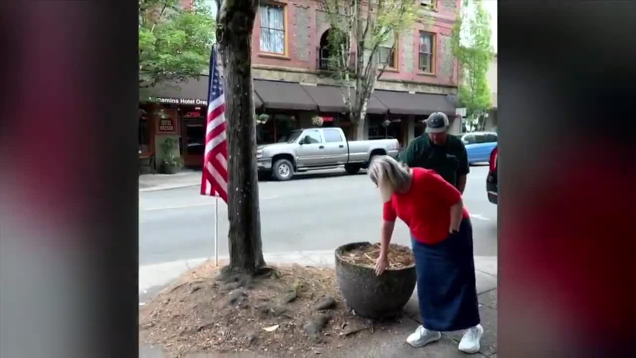 City Launches Downtown Design Demonstration Block for Community Feedback