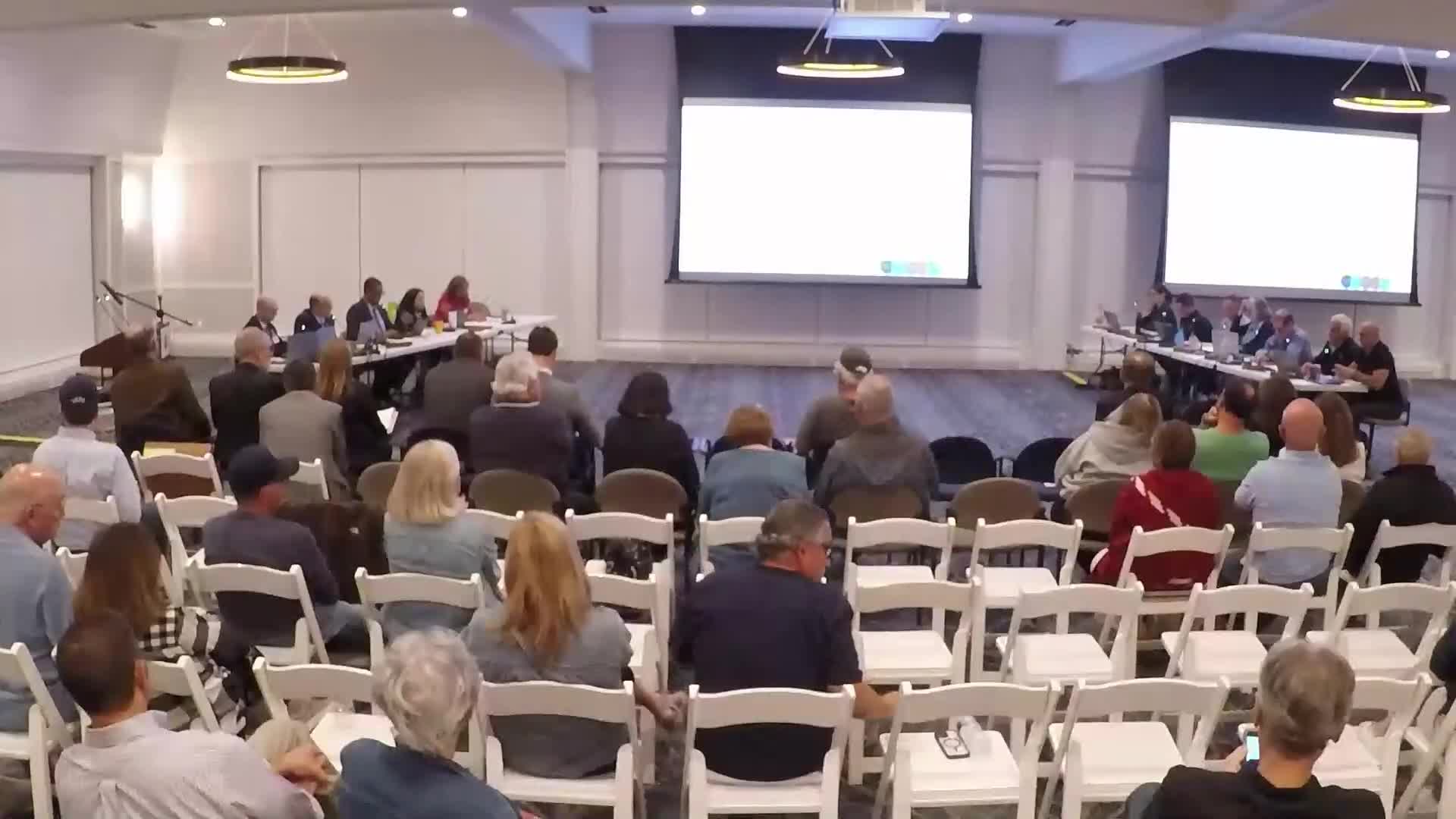 City Council Approves Design Review for Central Avenue Developments