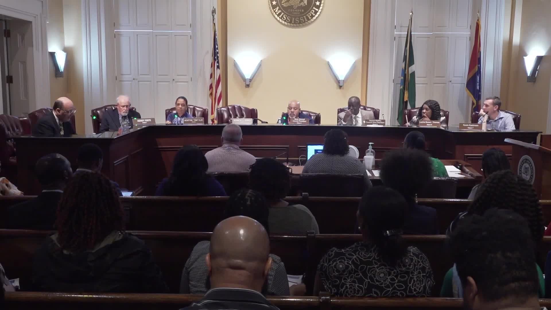 Jackson City Council explores public private partnerships for parks revenue generation