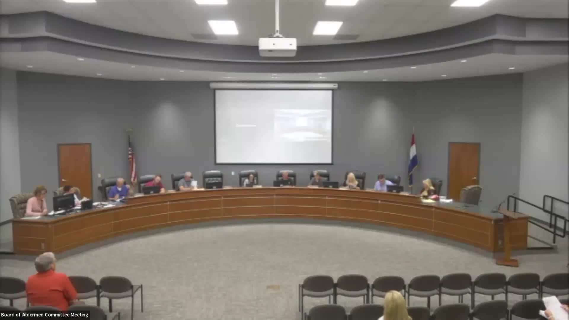 Aldermen approve Option 2 design for Budweil playground, keep turf and curb; fence only if required