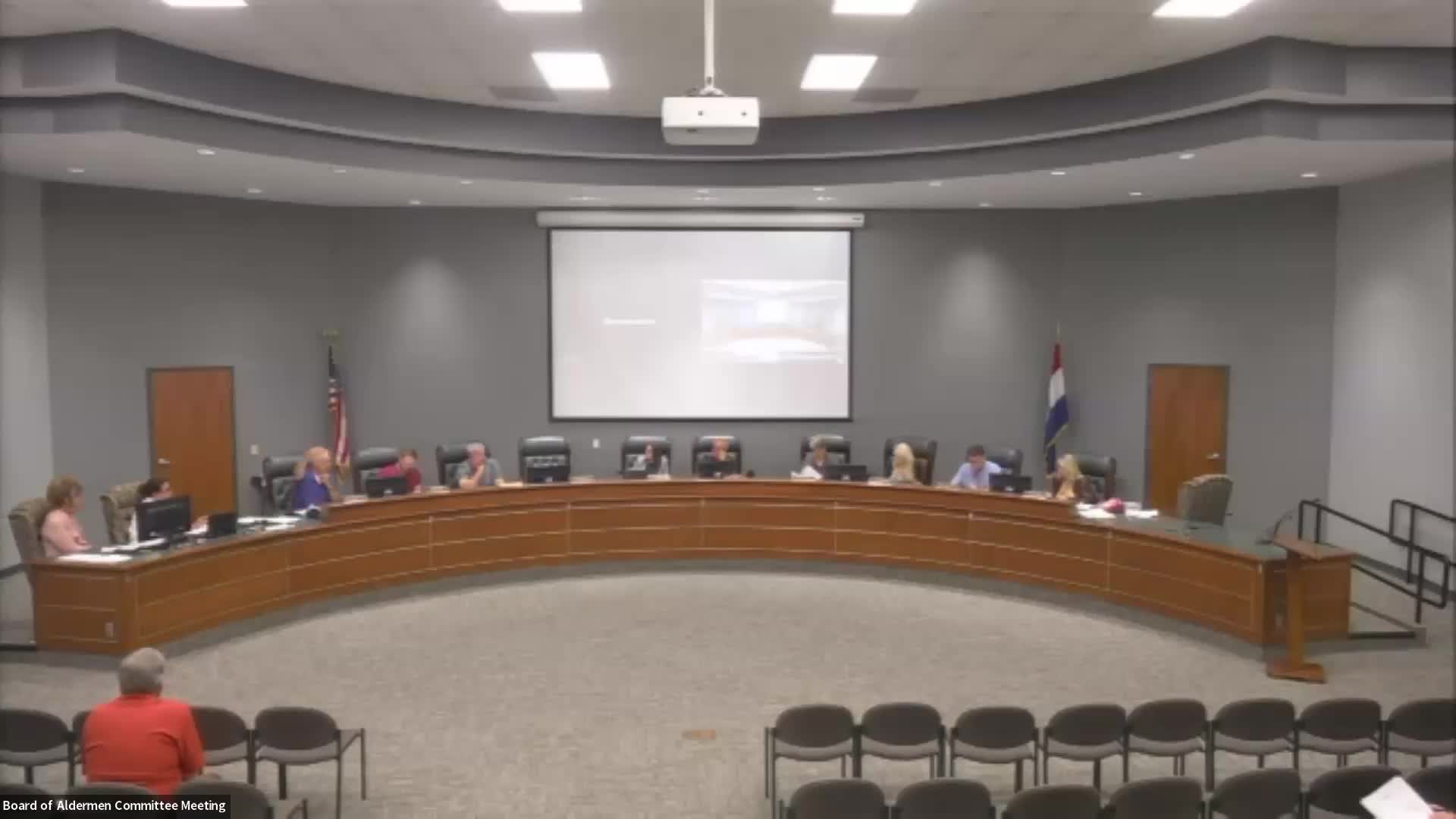 Aldermen approve $3,000 cleanup along Huck Road; invasive-species treatment to begin this fall